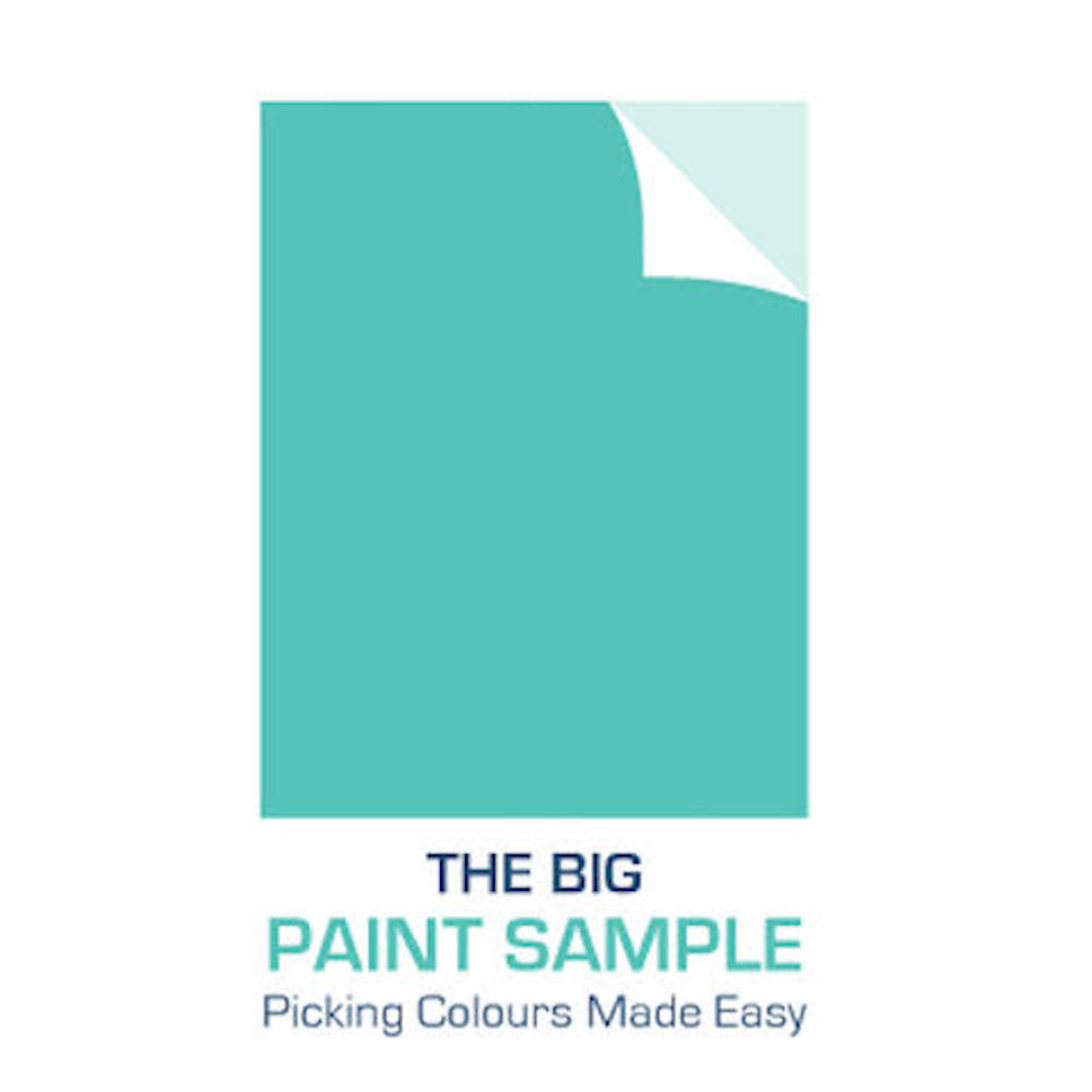 The Big Paint Sample Paint