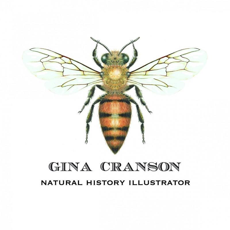 Gina Cranson, Franko, Jonathan Gemmell, Sarah Carter-Jenkins, Gina Cranson Artworks