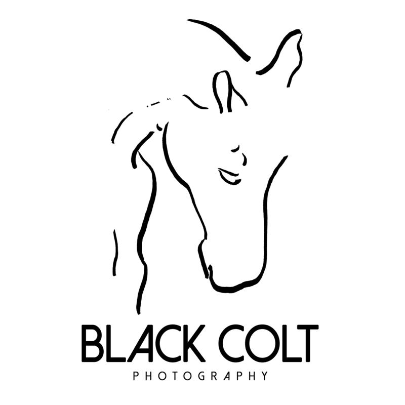Black Colt Photography