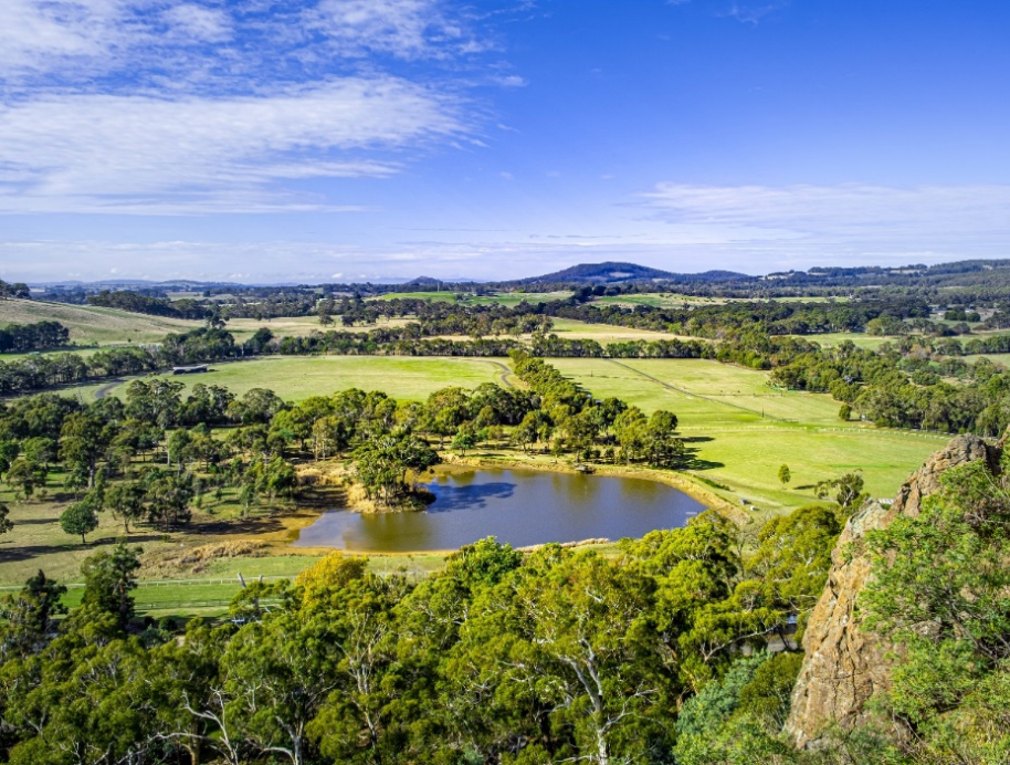 Macedon Ranges The block 2022 treechange