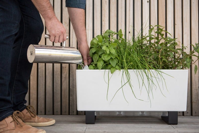 Glow Pear herb planter from The Block Shop