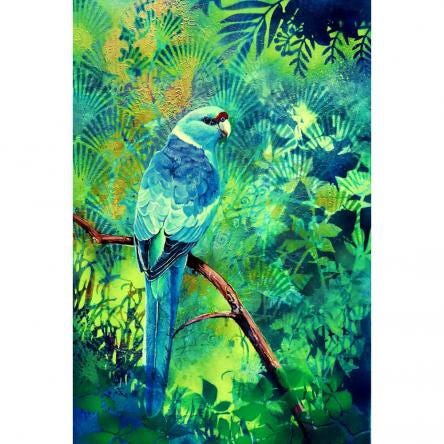  Susan Skuse’s Secluded Glade, Ring Necked Parrot. 