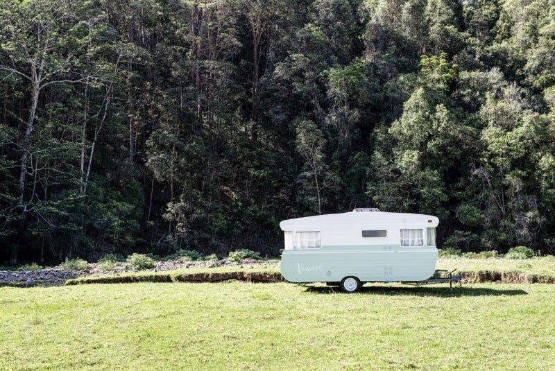 Vonnie sitting pretty amongst the Aussie bushland