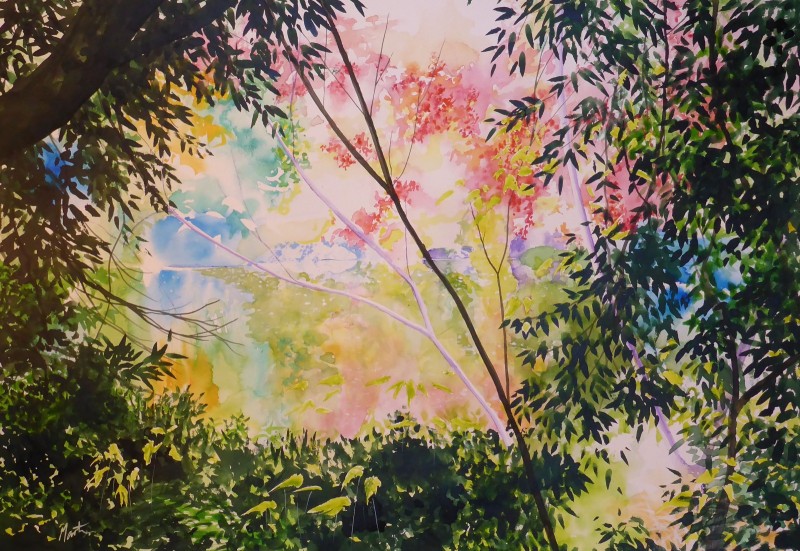 Pond in Kyoto, Original Watercolour Artwork  by Martin Stauce from The Block Shop 