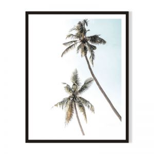2 Palms | Framed Print by Artefocus