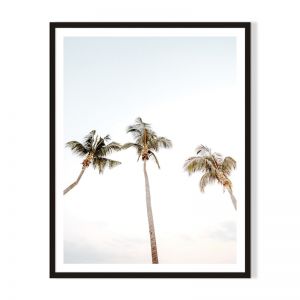3 Palms | Framed Print by Artefocus
