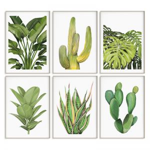 6 Print Plant Collection | Sara Turner