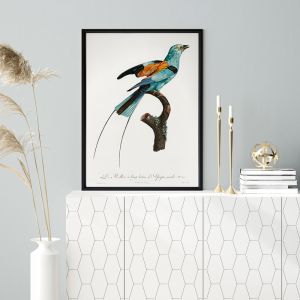 Songbird I Poster