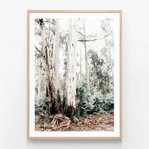 Alpine Country | Framed Print | 41 Orchard