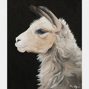 Amazing Alpaca | Framed or Unframed Canvas or Art Print | by Tia Alysse