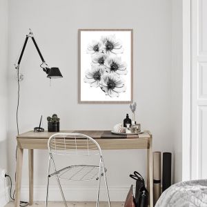 Anemone White Unframed Print | Various Sizes
