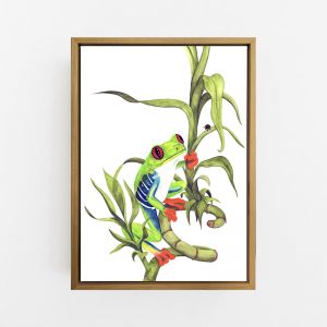 Archie the Red-Eyed Green Tree Frog Wall Art Print | by Pick a Pear | Canvas