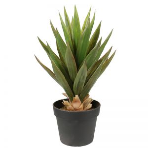 Artificial Dense Potted Aloe Vera Plant 50cm
