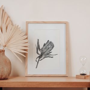 Australian Elegance Banksia | Framed Art Print by Frianki
