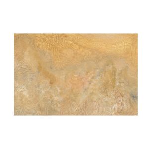 Baayi (Meaning Footprints) Part 2 - Places | Unframed Canvas Print by Lizzy Stageman