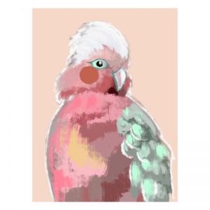 Baby Pink Birdy | Framed Art Print on Acrylic