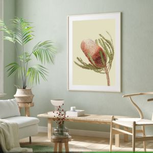 Banksia Native Living Art Flower 1 in Pale Sage Fine Art Print | by Pick a Pear | Framed