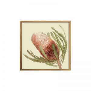 Banksia Native Living Art Flower 1 in Pale Sage Wall Art Print | by Pick a Pear | Canvas