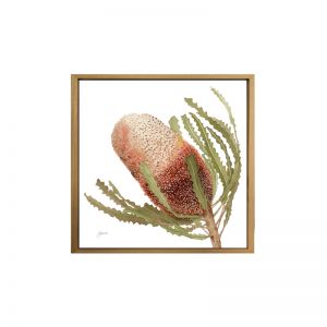 Banksia Native Living Art Flower 1 in White Wall Art Print | by Pick a Pear | Canvas