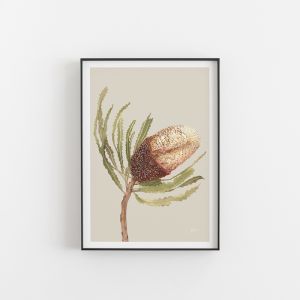 Banksia Native Living Art Flower 2 in Ivory Wall Art Print | by Pick a Pear | Unframed