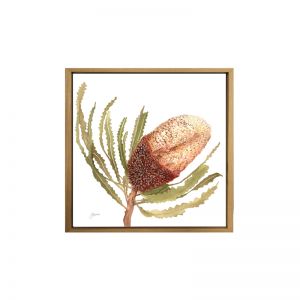 Banksia Native Living Art Flower 2 in White Wall Art Print | by Pick a Pear | Canvas