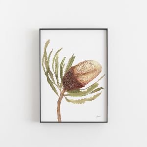 Banksia Native Living Art Flower 2 in White Wall Art Print | by Pick a Pear | Unframed