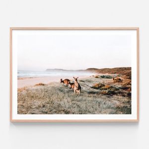 Beach Kangaroos | Framed Print | 41 Orchard