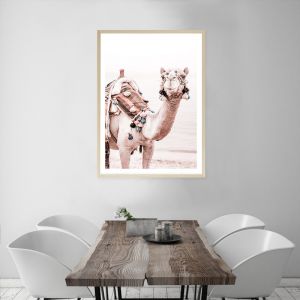 Bedouin Camel I Photo Art Print (Various Sizes)