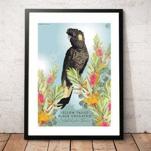 Black Cockatoo | Poster Print
