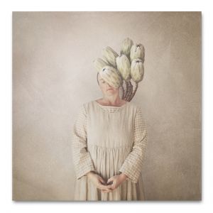 Bloom, Protea | Art Print by Natascha van Niekerk | Unframed
