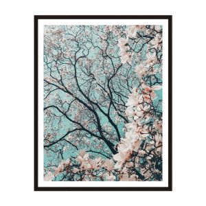 Blossom | Framed Print | Artefocus
