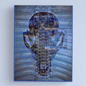 Blue Fox Skull | Canvas Print