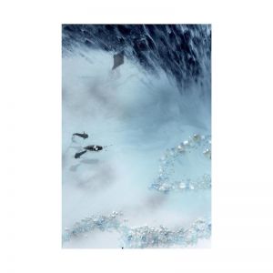Blue Lagoon Grey Reef Artwork | Limited Edition Print by Antuanelle