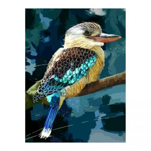 Blue Winged Kookaburra | Framed Art Print on Acrylic