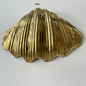 Brass Clam Shell | Oversized | 50CM