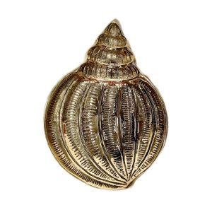 Brass Trinket Dish | Sea Shell | Bohteak