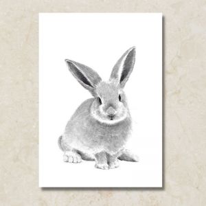 Bunny | Canvas Print by Cathy Hamilton