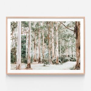 Bush Clearing | Framed Print | 41 Orchard