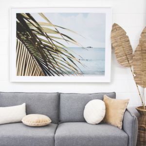 Calm Palm | Framed Art Print