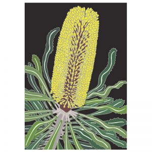 Candlestick Banksia | Art Print