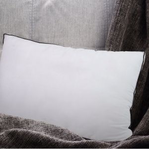 Casa Decor | Silk Blend Pillow | Twin Pack