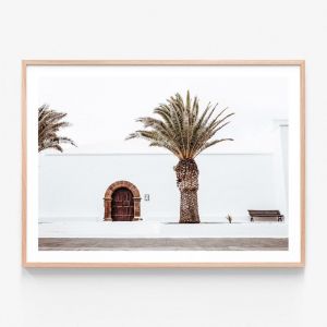 Casa Palm | Framed Print | 41 Orchard