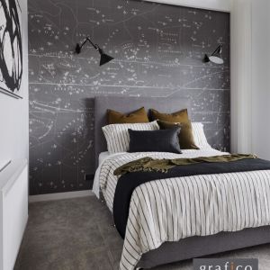 Celestial Star Map - Grey | Wallpaper
