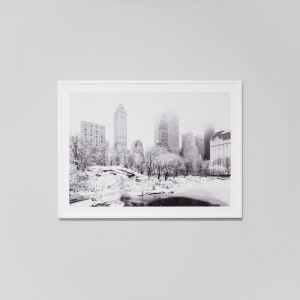 Central Park | Framed Photographic Print