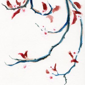 Cherry | Original Watercolour Artwork