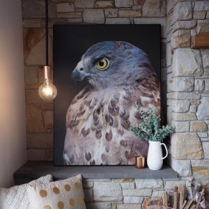 Chocolate-Speckled Hawk | Framed Photograph by Amelia Anderson