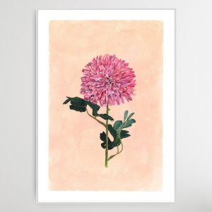 Chrysanthemum | Art Print by Kerrie Knuckey