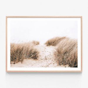 Coastal Grass | Framed Print | 41 Orchard