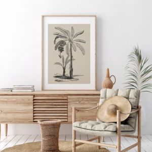Coastal Palm Charcoal – Type 1 | Print | Stretched Canvas or Printed Panel