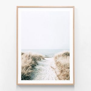 Coastal Pathway | Framed Print | 41 Orchard